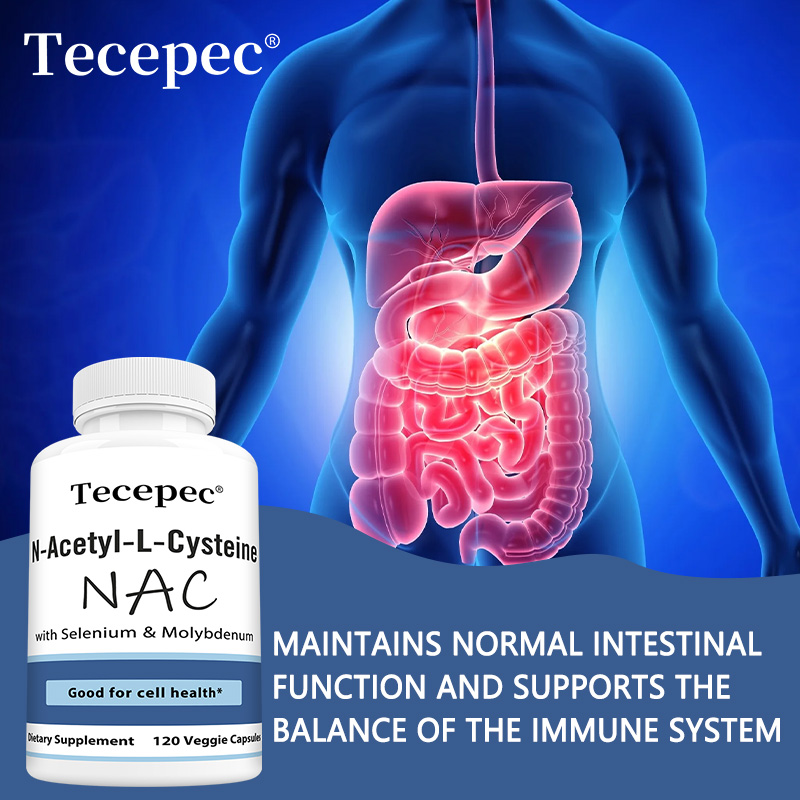 NAC-Kapseln – Antioxidans, för – Nac N Acetyl Cysteine Bewertung und Preis